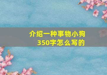 介绍一种事物小狗350字怎么写的