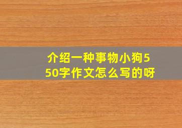 介绍一种事物小狗550字作文怎么写的呀