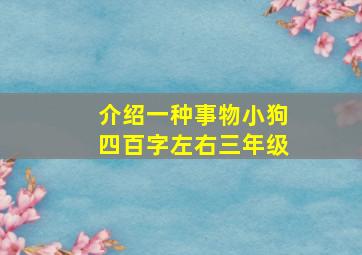 介绍一种事物小狗四百字左右三年级