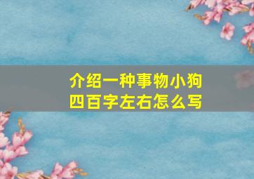 介绍一种事物小狗四百字左右怎么写