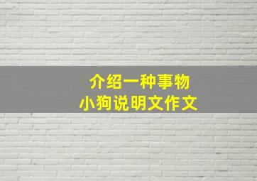 介绍一种事物小狗说明文作文