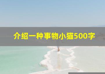 介绍一种事物小猫500字