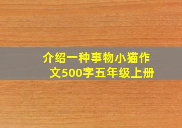 介绍一种事物小猫作文500字五年级上册