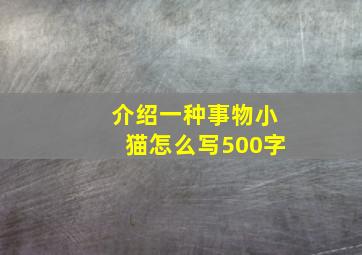 介绍一种事物小猫怎么写500字