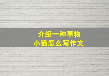 介绍一种事物小猫怎么写作文