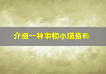 介绍一种事物小猫资料