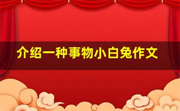 介绍一种事物小白兔作文