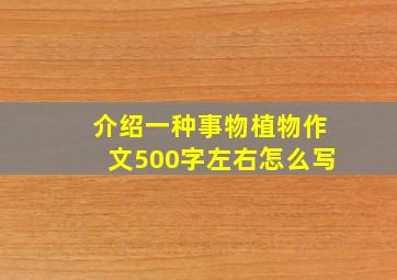 介绍一种事物植物作文500字左右怎么写