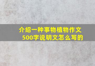 介绍一种事物植物作文500字说明文怎么写的