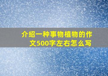 介绍一种事物植物的作文500字左右怎么写