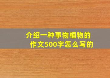 介绍一种事物植物的作文500字怎么写的