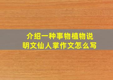 介绍一种事物植物说明文仙人掌作文怎么写