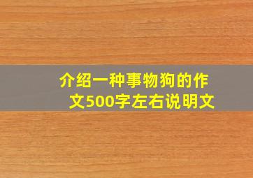 介绍一种事物狗的作文500字左右说明文