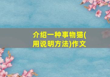 介绍一种事物猫(用说明方法)作文