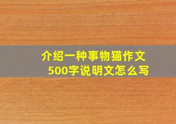 介绍一种事物猫作文500字说明文怎么写