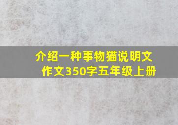 介绍一种事物猫说明文作文350字五年级上册