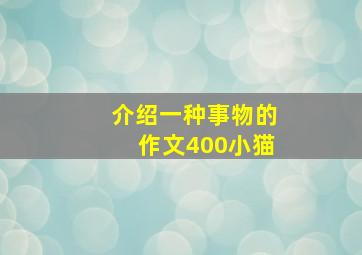 介绍一种事物的作文400小猫