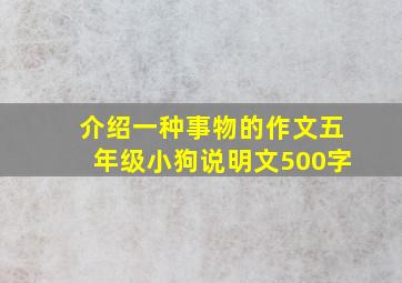 介绍一种事物的作文五年级小狗说明文500字