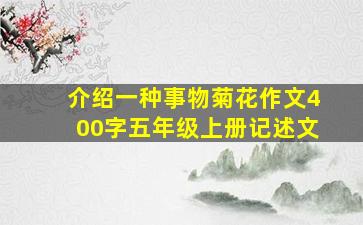 介绍一种事物菊花作文400字五年级上册记述文