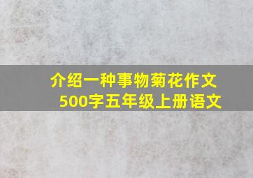 介绍一种事物菊花作文500字五年级上册语文