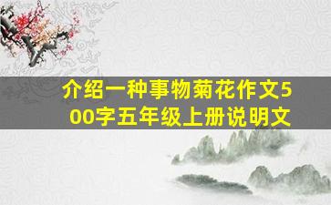 介绍一种事物菊花作文500字五年级上册说明文