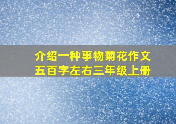 介绍一种事物菊花作文五百字左右三年级上册