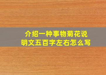 介绍一种事物菊花说明文五百字左右怎么写