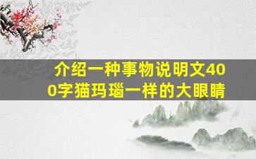 介绍一种事物说明文400字猫玛瑙一样的大眼睛