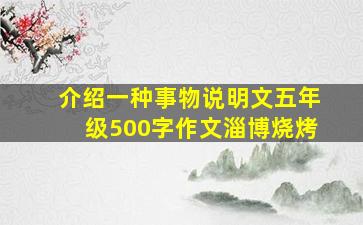 介绍一种事物说明文五年级500字作文淄博烧烤