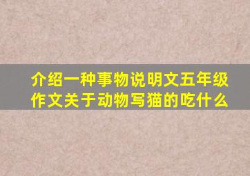 介绍一种事物说明文五年级作文关于动物写猫的吃什么