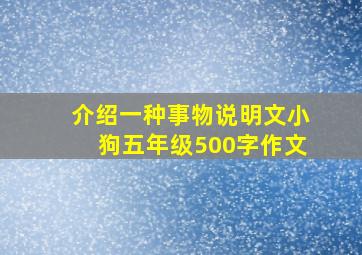 介绍一种事物说明文小狗五年级500字作文