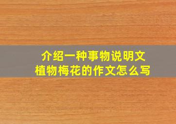 介绍一种事物说明文植物梅花的作文怎么写