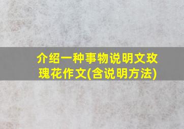 介绍一种事物说明文玫瑰花作文(含说明方法)