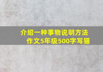 介绍一种事物说明方法作文5年级500字写猫