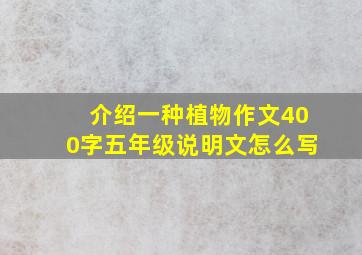 介绍一种植物作文400字五年级说明文怎么写