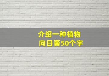 介绍一种植物向日葵50个字