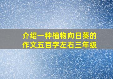 介绍一种植物向日葵的作文五百字左右三年级