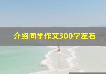 介绍同学作文300字左右