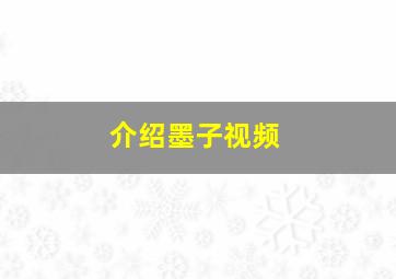 介绍墨子视频