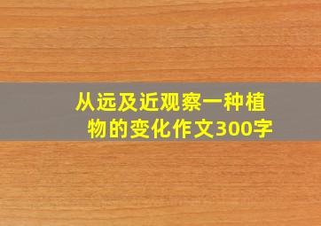 从远及近观察一种植物的变化作文300字