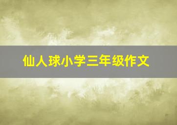 仙人球小学三年级作文