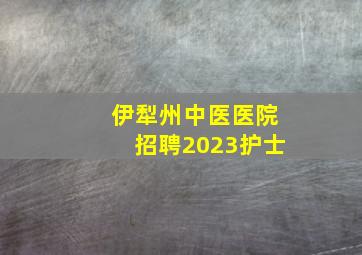 伊犁州中医医院招聘2023护士