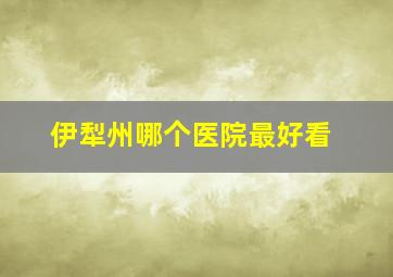 伊犁州哪个医院最好看