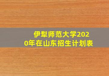 伊犁师范大学2020年在山东招生计划表