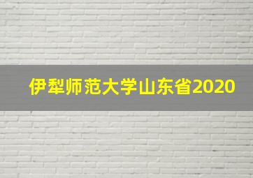 伊犁师范大学山东省2020