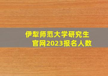 伊犁师范大学研究生官网2023报名人数