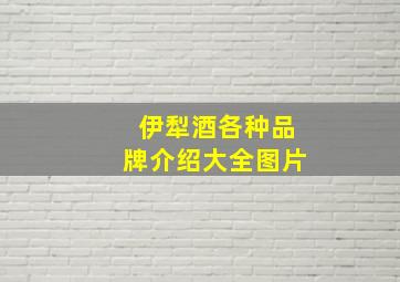 伊犁酒各种品牌介绍大全图片