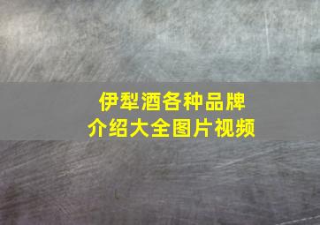 伊犁酒各种品牌介绍大全图片视频