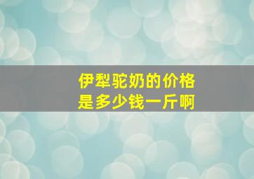 伊犁驼奶的价格是多少钱一斤啊