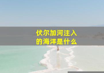 伏尔加河注入的海洋是什么